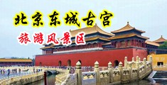群交双插娇小骚女小说中国北京-东城古宫旅游风景区